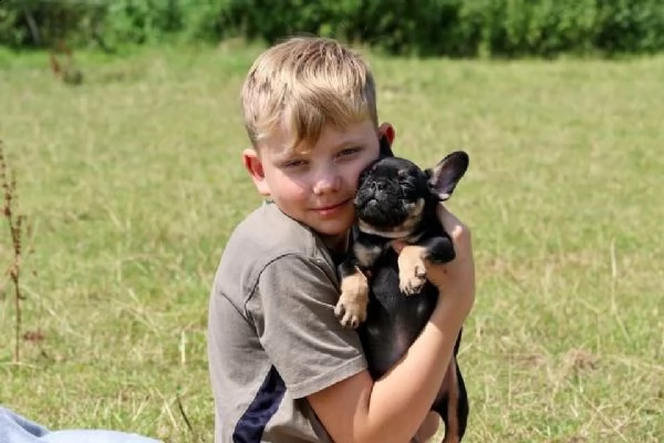 bellissimi cuccioli di bouledogue francese  | Foto 2