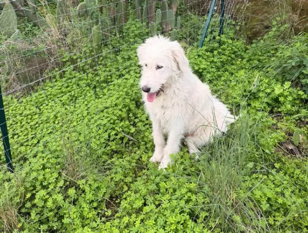 buonissima nuvola in regalo | Foto 1