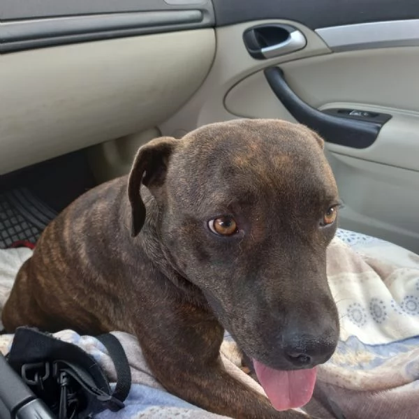 LIBERA, 3 ANNI, 30 KG | Foto 1