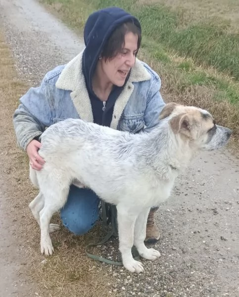 DESMO, NON SEI ANCORA MAGGIORENNE, DIVENTERAI UN BEL CAGNOLONE! | Foto 6