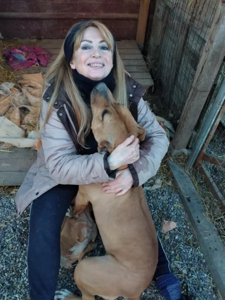 ELENA, DOLCISSIMA SIMIL PIT, 28 KG, 8 ANNI | Foto 5