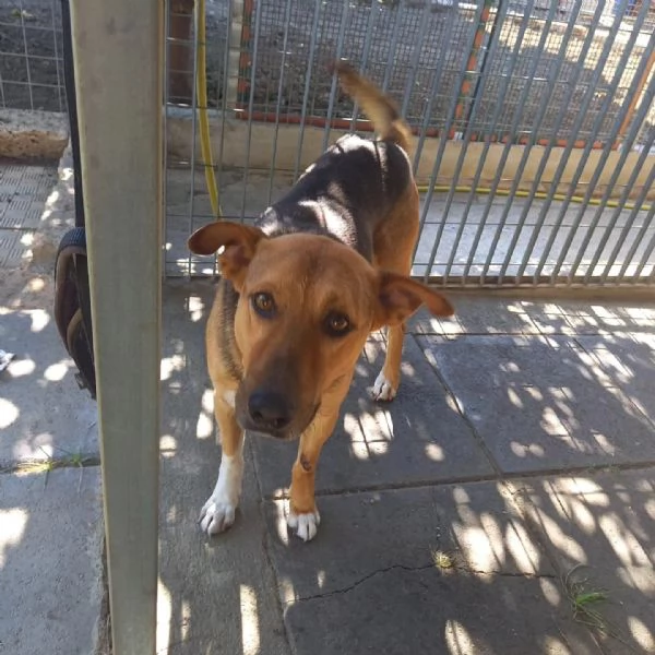 BUNISSIMO FORTUNATO IN REGALO IN TUTTA ITALIA | Foto 3