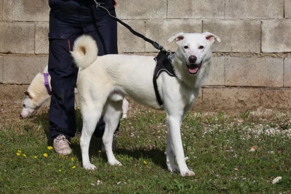 Nino cerca casa | Foto 4