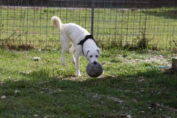 Nino cerca casa | Foto 1
