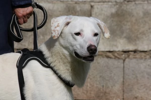 Nino cerca casa | Foto 0