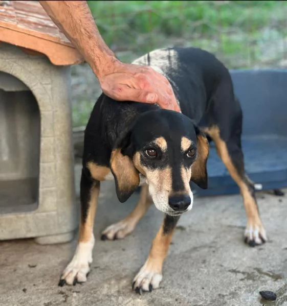 Giulia fatevi rapire dalla dolcezza del suo sguardo | Foto 4