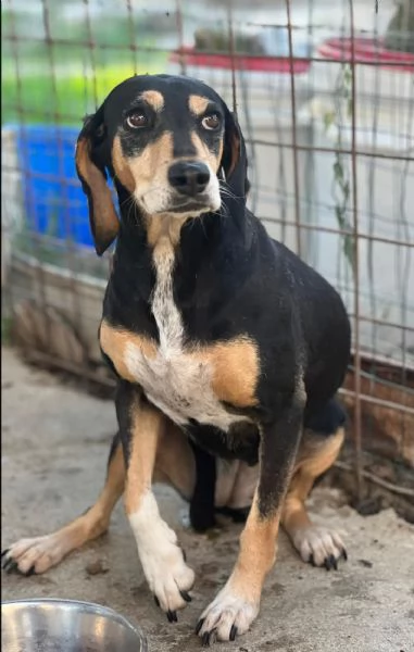 Giulia fatevi rapire dalla dolcezza del suo sguardo | Foto 3