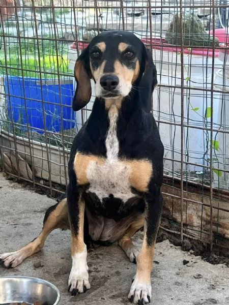 Giulia fatevi rapire dalla dolcezza del suo sguardo | Foto 2