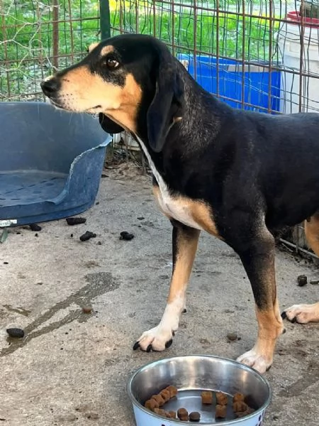 Giulia fatevi rapire dalla dolcezza del suo sguardo | Foto 1