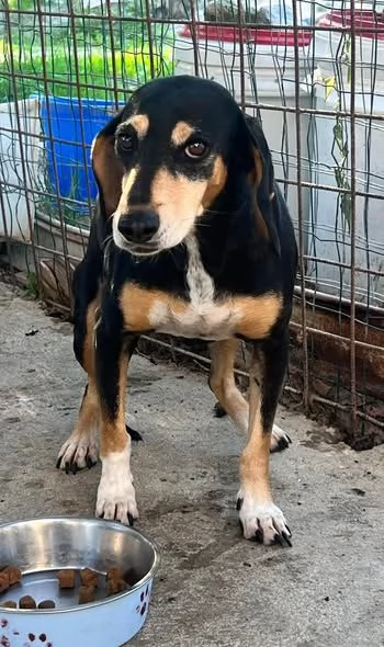 Giulia fatevi rapire dalla dolcezza del suo sguardo | Foto 0