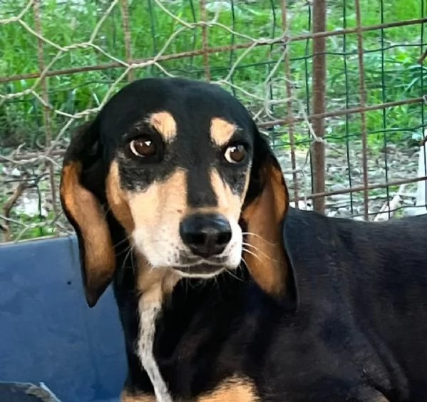 Giulia fatevi rapire dalla dolcezza del suo sguardo