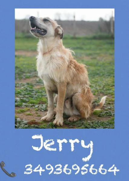 JERRY - IL JASON MOMOA DELL'ARCA | Foto 6