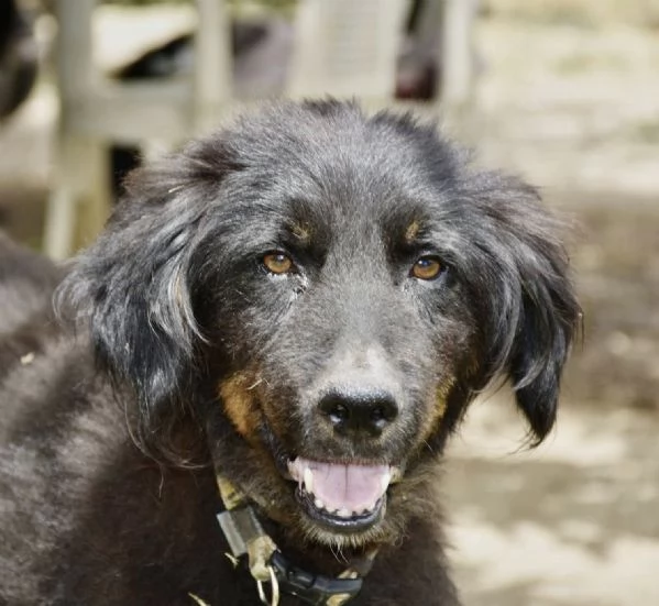 Pupo cerca casa | Foto 0