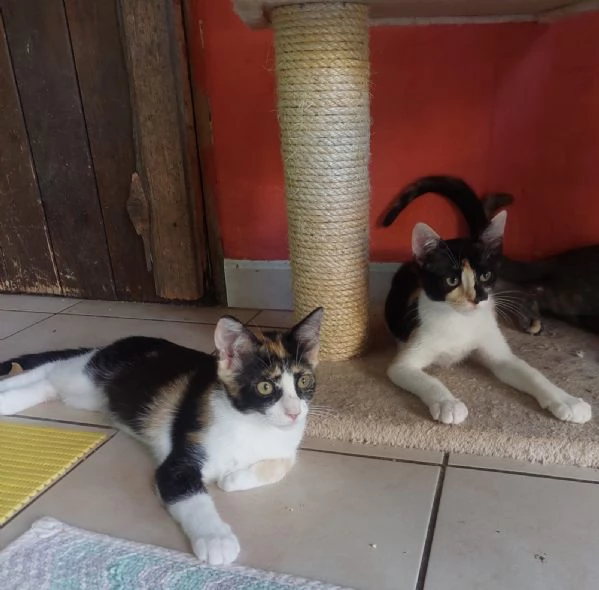 Fiona e sua sorella aspettano una famiglia