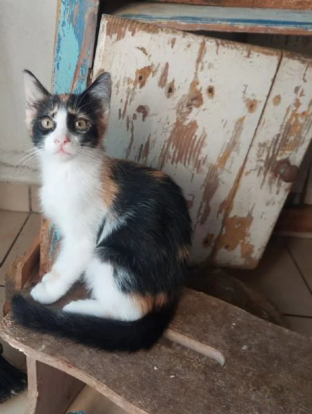 Fiona e sua sorella aspettano una famiglia | Foto 2