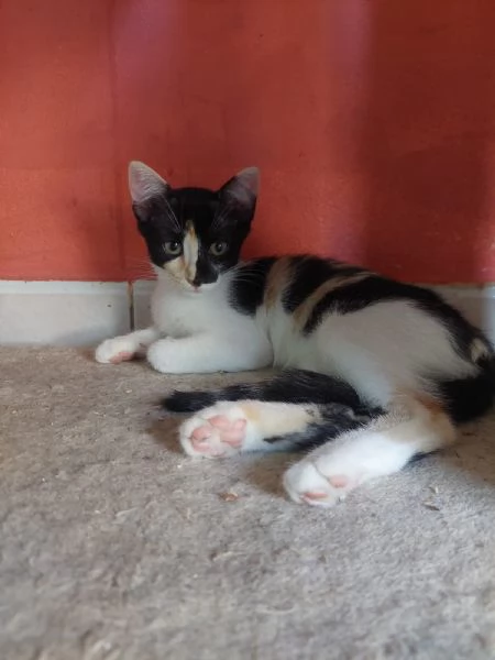 Fiona e sua sorella aspettano una famiglia | Foto 1