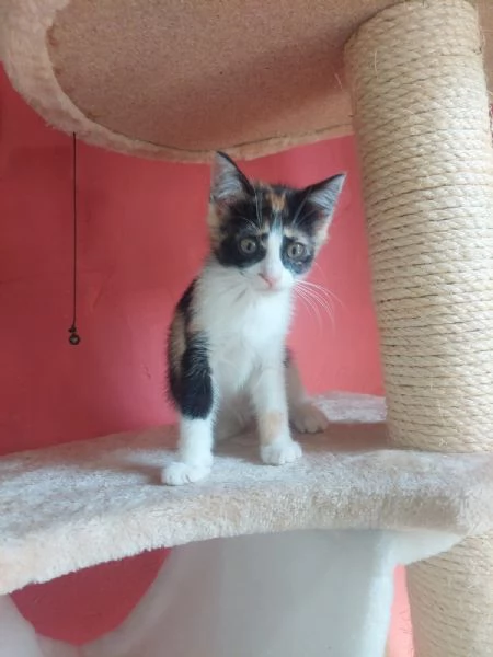 Fiona e sua sorella aspettano una famiglia | Foto 0