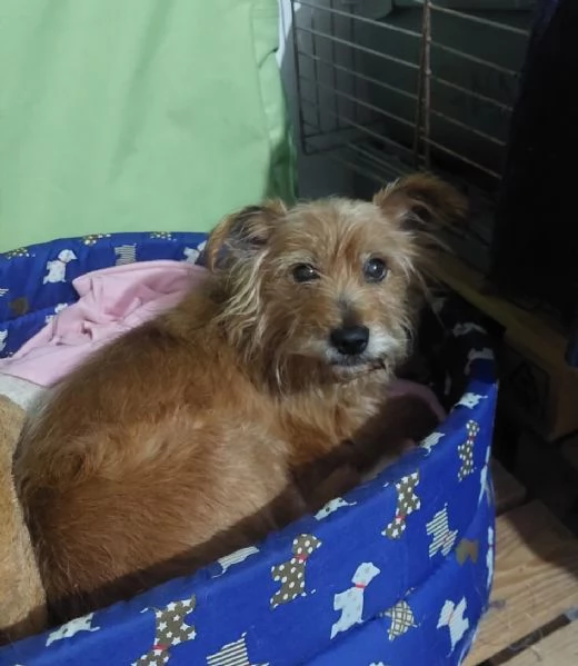 Henry, dolcissimo e desideroso di una famiglia | Foto 0