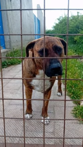 Morgana 5anni dolce tg grande | Foto 1