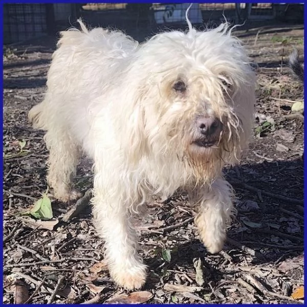 DELORIS 7anni piccola dolcezza! [hidden] cuore | Foto 3