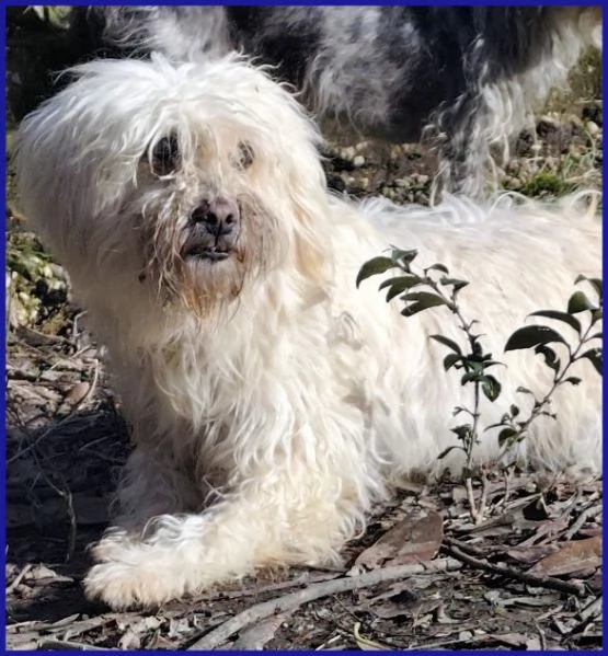 DELORIS 7anni piccola dolcezza! [hidden] cuore | Foto 1