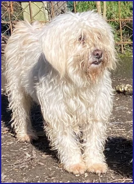 DELORIS 7anni piccola dolcezza! [hidden] cuore | Foto 0