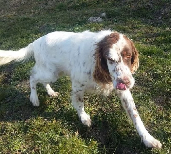 ALAN 10 anni gioioso ed ottimista | Foto 2