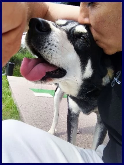 DUMBO 7anni un simpaticone  | Foto 1