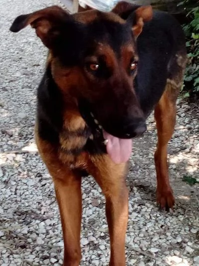 HUBERT 4-5anni adora i bambini