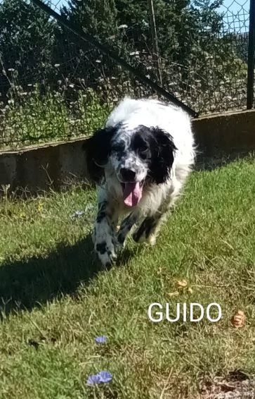 GUIDO 4-5anni ama correre ! | Foto 0