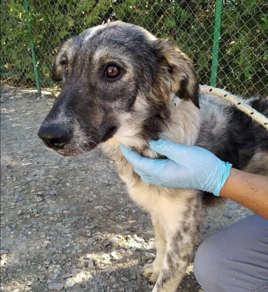 LORY occhi che supplicano!