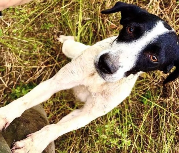 BRINA giovane simpatica meticcina | Foto 2