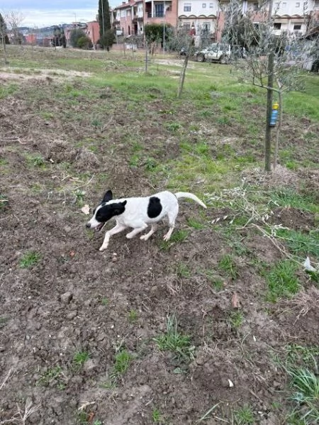 BRINA giovane simpatica meticcina | Foto 0