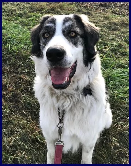 GGG il gigante gentile!