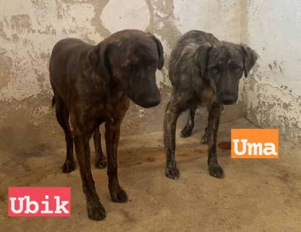 UMA e UBIK mamma e figlio un po' diffidenti | Foto 2