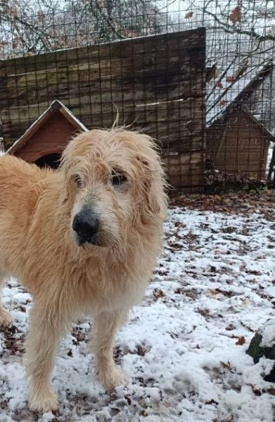 REBECCA 9anni  rimasta sola al mondo | Foto 6