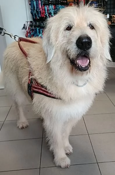 REBECCA 9anni  rimasta sola al mondo