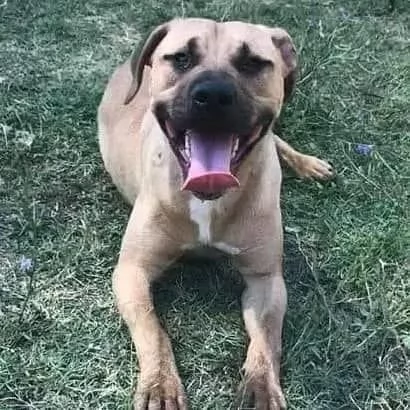 OTIS socievole, ama correre | Foto 1