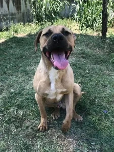 OTIS socievole, ama correre | Foto 0