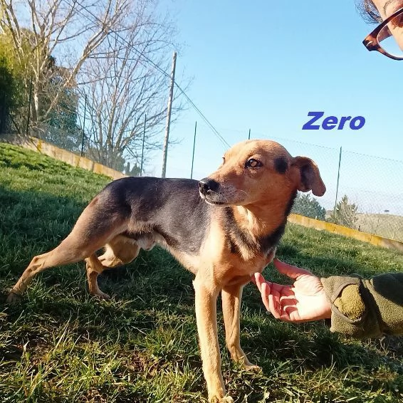 ZERO 7anni cerca le coccole