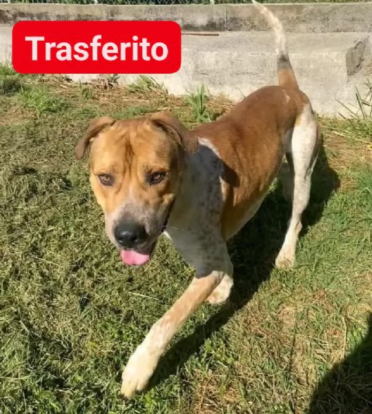 CASPER bravo ed equilibrato | Foto 5