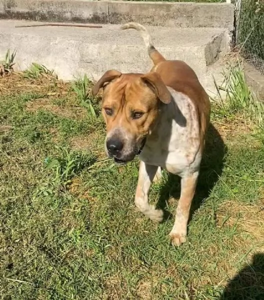 CASPER bravo ed equilibrato | Foto 4