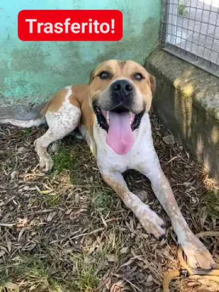 CASPER bravo ed equilibrato | Foto 3