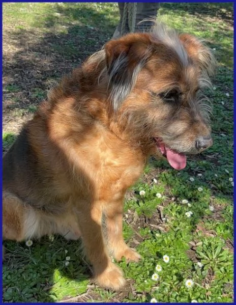 FRED Flintstone ciuffo che conquista! | Foto 3