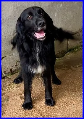 ROC 8anni circa abbandonato!