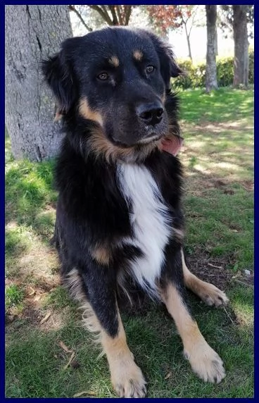 ARGO dolcissimo patatone | Foto 3