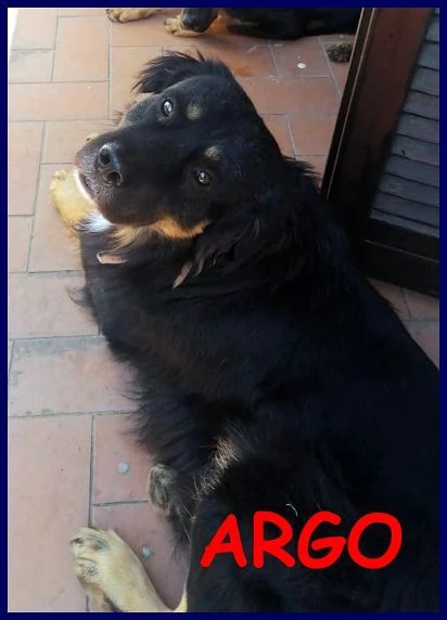 ARGO dolcissimo patatone | Foto 2