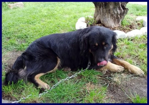 ARGO dolcissimo patatone | Foto 0