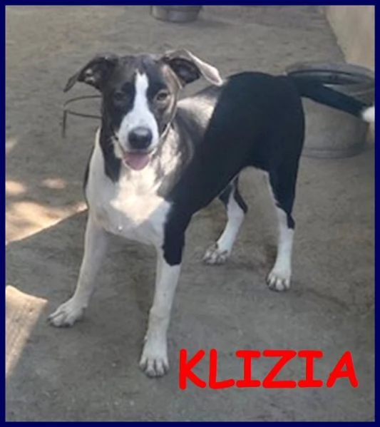 KLIZIA sui 3 anni allegra e simpatica | Foto 2