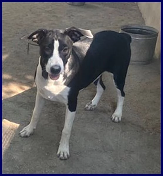 KLIZIA sui 3 anni allegra e simpatica